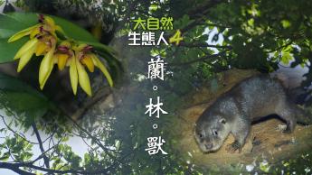 大自然  生態人4
