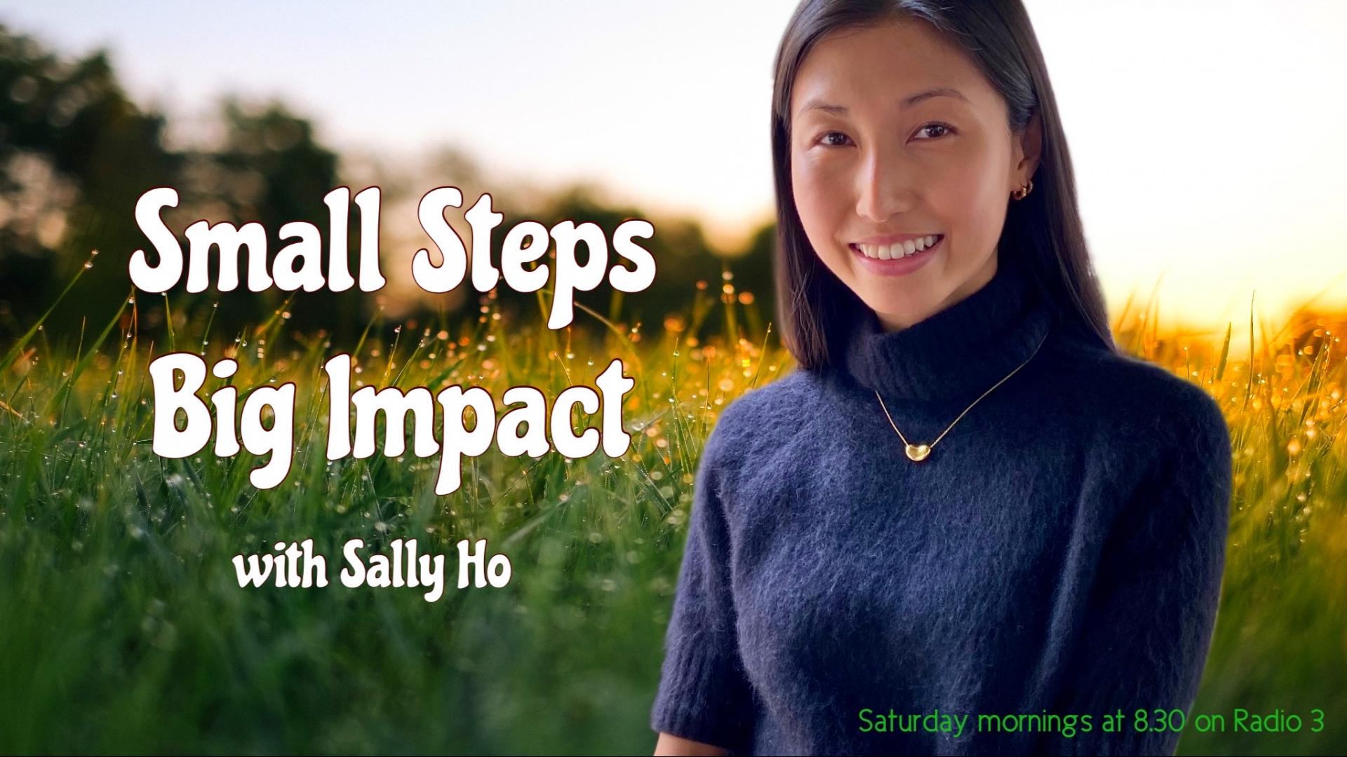 Podcast One: Small Steps Big Impact - Becoming an environmental activist