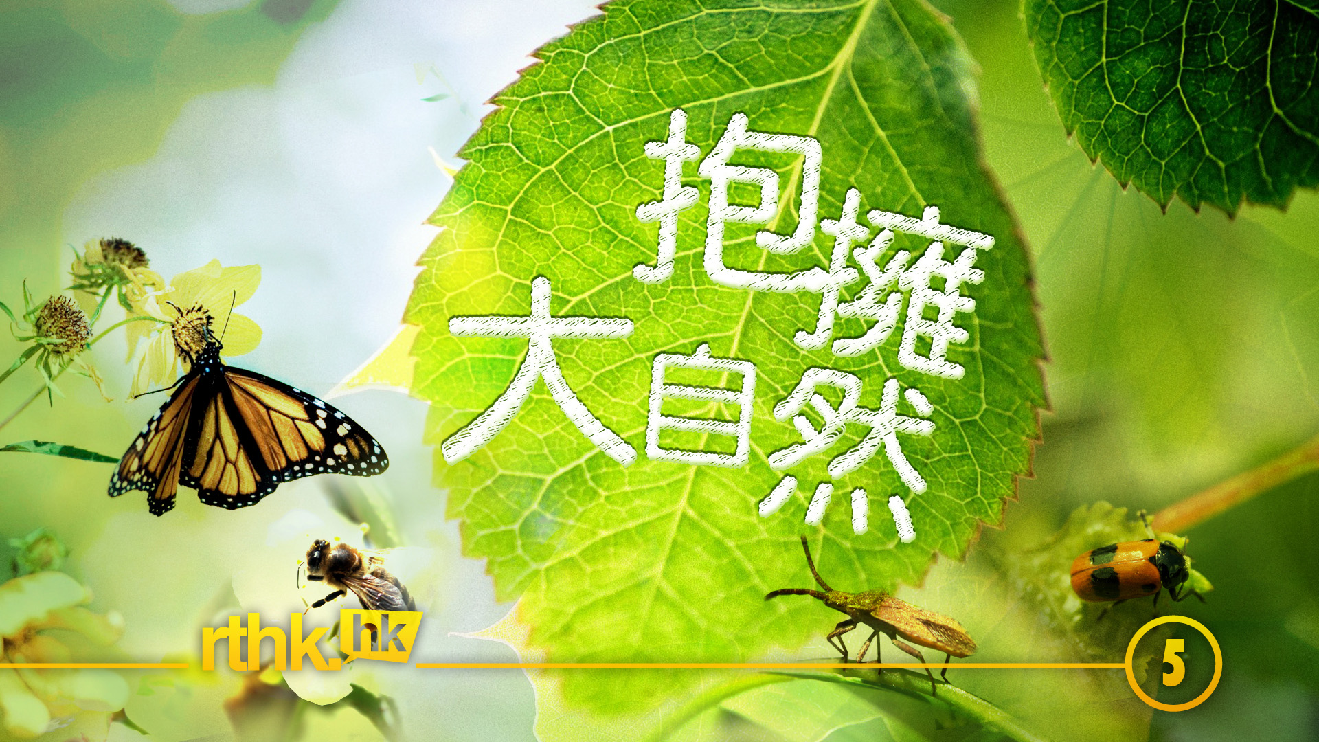 Podcast One 抱擁大自然 4 抱擁大自然 告別篇 第一部分 Podcast One 抱擁大自然 4 抱擁大自然 告別篇 第一部分